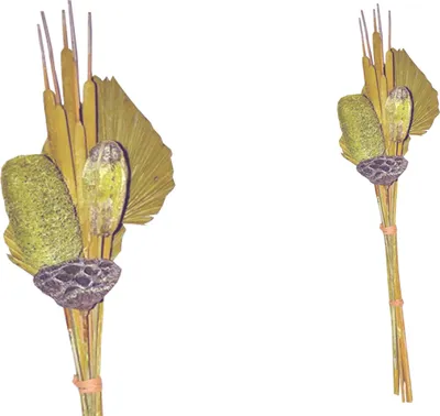 Produktbild von BOHO Trockenblumenstrauß gemischt Little Palm Kiwi grün gefrosted 64 cm
