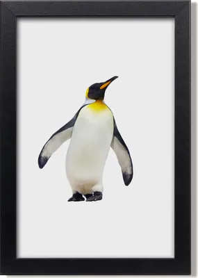 Produktbild von Bild 20x30 MDF-Rahmen, Wandkunst Pinguin