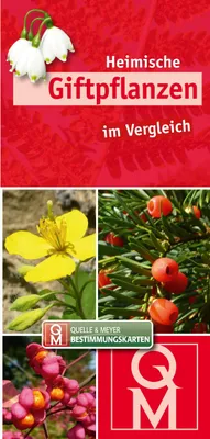 Image de Heimische Giftpflanzen im Vergleich