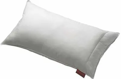 Produktbild von Centa Star WASCHMICH PLUS Kissen - 60 X 80