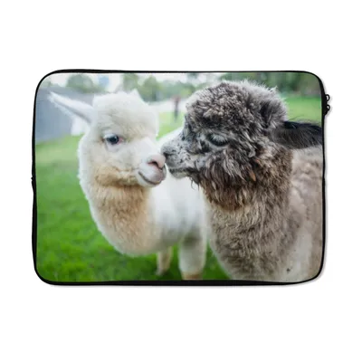 Produktbild von MuchoWow® Laptop Hülle 13 Zoll Liebe - Alpaka - Stofftier Laptoptasche - Laptophülle - Sleeve - Rundumschutz