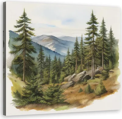 Produktbild von Leinwandbild Landschaft Berge Wald 60x60 Feeby Grün bild für die wand bereit zum aufhängen