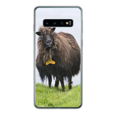 Produktbild von MuchoWow® Handyhülle Schutzhülle Hülle für Samsung Galaxy S10 Schafe - Braun - Meer Silikon Softcase Handy Hülle - Handytasche