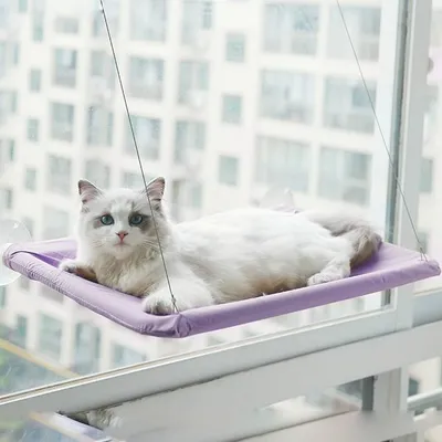 Imagen del producto de Hamaca cómoda para gatos: máximo bienestar para su mascota, color lila