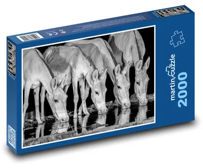 Obrázek produktu pro martinpuzzle - Puzzle 2000 - Divoká zvířata