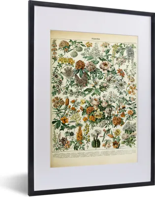 Produktbild von MuchoWow® Gerahmtes Poster Blumen - Orange - Gelb 30x40 cm - Poster mit Schwarzem Bilderrahmen Wandposter Rahmen Foto Bilder - Wandposter Schlafzimmer
