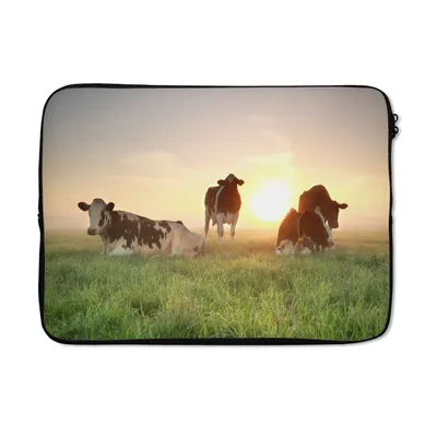 Produktbild von MuchoWow® Laptop Hülle 14 ZollKuh - Sonne - Gras Laptoptasche - Laptoptasche - Stoßsicher - Schutzhaube