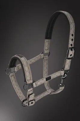 Produktbild von Eskadron Platinum Halfter " ARTECO ", Stallhalfter Größe - Pony Farbe - taupe