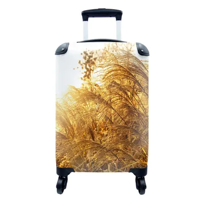 Produktbild von MuchoWow® Koffer Handgepäck Trolley Rollkoffer Kleine Reisekoffer mit 4 Rollen - Pampasgras - Sonne - Gras - Cabin Size < 55x40x23 cm & 55x40x20 cm - Fotokoffer - Kabinenkoffer - Boardgepäck - Reise-Box - Reisekoffer - Reisegepäck - Koffer mit Bild - Trolley für Kinder