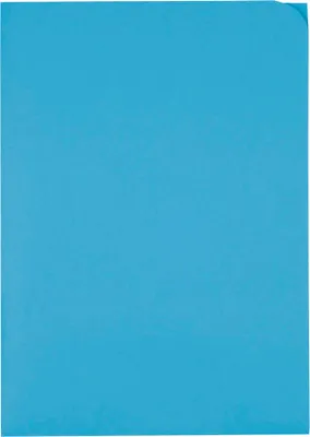 Zdjęcie produktu dla ELCO 29466.32 Sichthülle Ordo Discreta blau