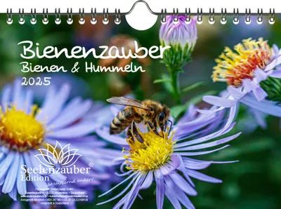 Produktbild von Bienenzauber Bienen und Hummeln DIN A5 Wandkalender für 2025 - Seelenzauber