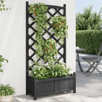 Produktbild von Pflanzkübel mit Spalier Schwarz Massivholz Tanne, Beete 365490