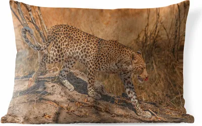 Produktbild von MuchoWow® Outdoor Kissen - Gepard - Camouflage - Äste - 50x30 cm - Wetterfest - Lounge Kissen - Sofa kissen - Wohnzimmer Dekoration