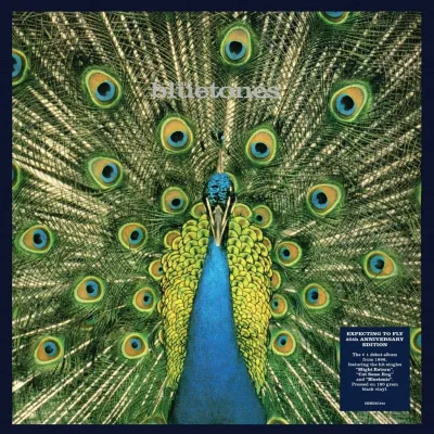Obrázok produktu pre The Bluetones: Expecting To Fly (180g) (25th Anniversary Edition)