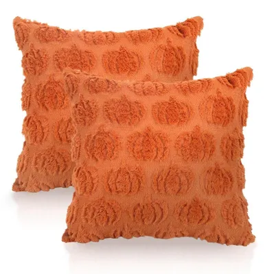 Produktbild von Kissenbezüge Herbst Kürbis 45 x 45 cm Baumwolle 2er Set