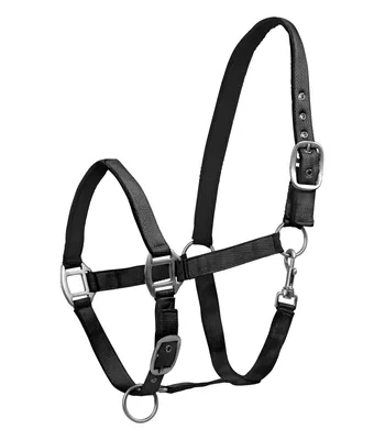 Produktbild von Waldhausen Perlonhalfter Satin Schwarz XWB