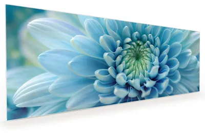 Produktbild von Küchenrückwand Spritzschutz Glas mit Motiv Blütenzauber 40 x 40 cm
