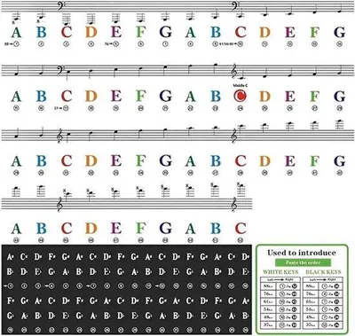 Produktbild von Klavier Tastaturaufkleber - Tasten-Notizen - Musik-Lernen - Wiederverwendbares Abnehmbares - 88 Tasten - Transparent