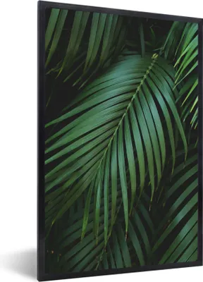 Produktbild von MuchoWow® Gerahmtes Poster Palmenblätter - Palmen - Tropisch 40x60 cm - Poster mit Schwarzem Bilderrahmen Wandposter Rahmen Foto Bilder - Papierdruck - Wandbilder