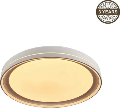 Obrázek produktu pro Deckenleuchte Led B2361-1L-R 49Cm 45W Dim