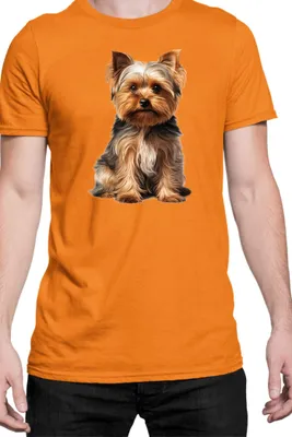 Immagine prodotto di Maglietta da uomo Dogs Breeds Yorkshire Terrier Dog Breed 006, Man 2XL , Orange