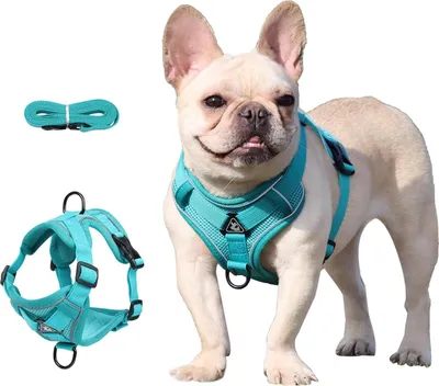 Produktbild von Atmungsaktives Brustgeschirr Hundegeschirr mit Leine - Weich Verstellbar Reflektierend Anti-Zug Hundegeschirr - Geeignet für Mittelgroße und Kleine Hunde