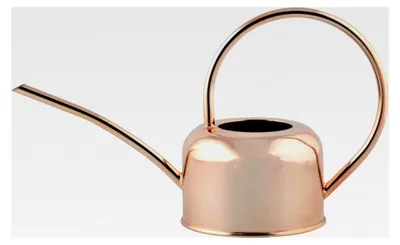 Produktbild von Gießkanne aus Edelstahl in Gold, ca. 1 L
