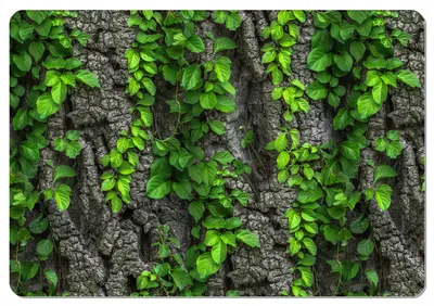 Obrázek produktu pro Plstěný stůl Bertoni se vzorem | CREEPER| 29 cm x 42 cm