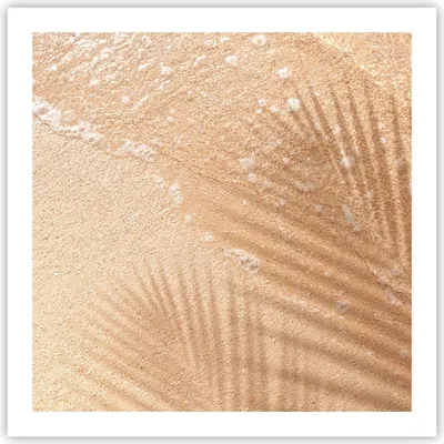 Produktbild von Poster - Poster ohne Rahmen - Sand Schatten Blätter - 60x60 cm - Wand Bild - Wanddeko - Wandbilder - Kunstposter - Wandposter - Bilder - Kunstdruck - Wanddekoration - Wandbild - P2XAC60x60-4580