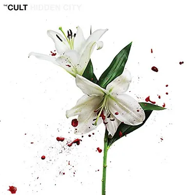 Produktbild von Der Kult - Hidden City CD