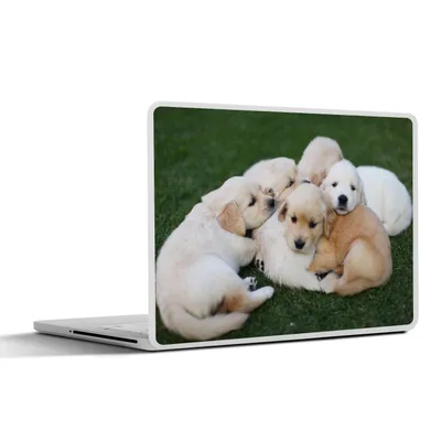 Produktbild von MuchoWow® Laptop Aufkleber Sticker Cover Tiere - Welpen - Hunde 30x21 cm - Sticker für Laptop - Selbstklebend