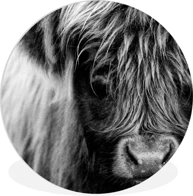 Produktbild von MuchoWow® Rundes Wandbild - Runde Bilder Schottischer Highlander - Porträt - Schwarz - Weiß Ø 60 cm Kreis Wanddekoration Kunststoff - Wandkreis - Wandschmuck - Wand Kreis - Das Schlafzimmer - Die Bilder - Wandmalerei - Kunst für das Haus - das Plastik