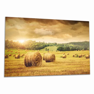 Produktbild von Wallario Herdabdeckplatte aus Glas, Größe 90 x 52 cm 1-teilig, Motiv Strohballen auf dem Feld bei Sonnenuntergang
