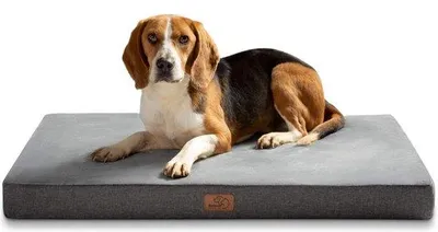 Produktbild von Hundekissen, großes weiches Hundebett, waschbar mit Schaum, kuscheliges Hundehaus in der Größe 90 x 55 x 8 cm, grau