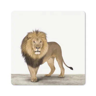 Produktbild von MuchoWow® Mauspad Mousepad Jungen - Löwe - Tiere - Kinder - Mädchen 30x30 cm - Mousepads - Maus Mat - Pad - Mausunterlage - Gaming