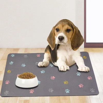 Image de Tapis d'alimentation pour chiens et chats, tapis de 50 x 30 cm, tapis en silicone pour animaux, tapis imperméable et antidérapant pour animaux de compagnie (gris clair)