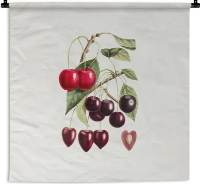 Produktbild von MuchoWow® Wandteppich Wandbehang Kirschen - Obst - Jahrgang 150x150 cm Tapisserie Dekoration Wandtuch - Wohnaccessoires - Modernes