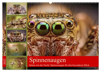 Produktbild von Spinnenaugen (Wandkalender 2027 DIN A2 quer), CALVENDO Monatskalender