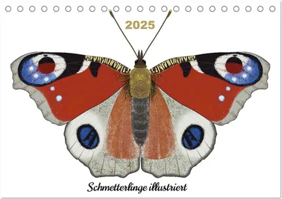 Produktbild von Schmetterlinge illustriert (Tischkalender 2025 DIN A5 quer), CALVENDO Monatskalender