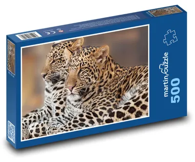 Obrázok produktu pre martinpuzzle – Puzzle 500 – Leopard – mláda, Afrika