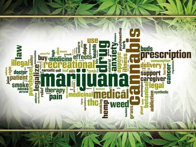 Produktbild von vianmo Holzschild 30x40 cm Cannabis Marijuana therapy pain smoke