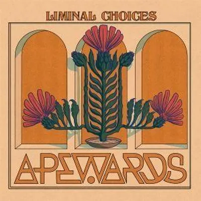 Produktbild von Liminal Choices