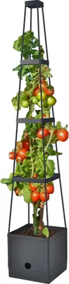 Obrázok produktu pre 3.08 Pomôcka na popínanie paradajok v kvetináči - výška cca 150 cm