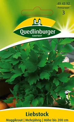 Produktbild von Liebstock, Maggikraut