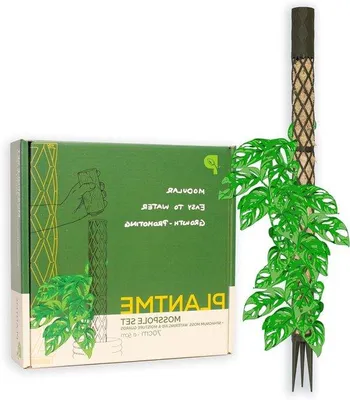 Image de Kit de support pour plantes (vert-gris, 70 cm)