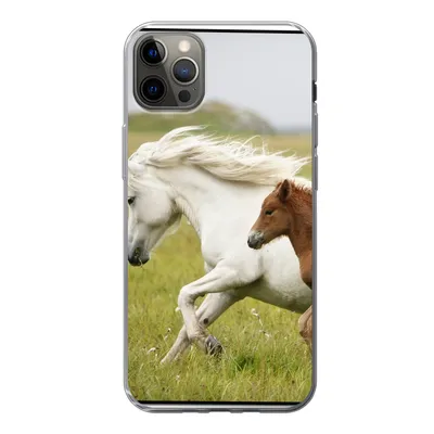 Produktbild von MuchoWow® Handyhülle Schutzhülle Hülle für iPhone 12 Pro Max Pferde - Tiere - Gras Silikon Softcase Handy Hülle - Hartschale