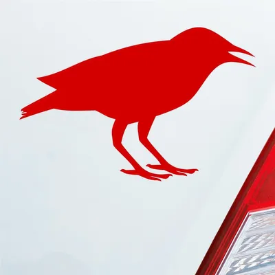 Produktbild von Auto Aufkleber Rabe Vogel Bird Vogelfreund 15x10 cm Rot Sticker Heckscheibenaufkleber
