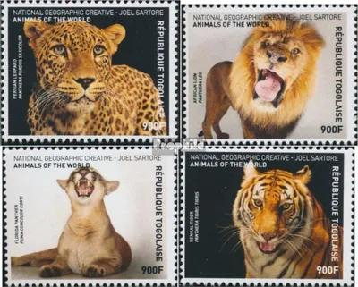 Produktbild von Briefmarken Togo 2016 Mi 7929-7932 (kompl. Ausgabe) postfrisch Große Katzen