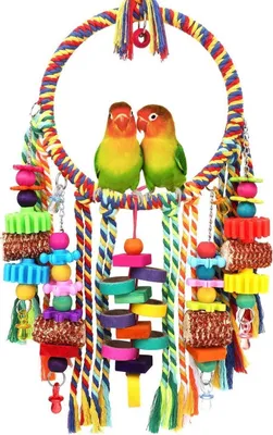 Produktbild von Vogelspielzeug Vogelseil Ringschaukel mit Kauspielzeug für Sittiche & kleine Vögel
