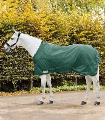 Obrázek produktu pro Ekonomický koberec proti dešti, jedlově zelený, 145 cm
